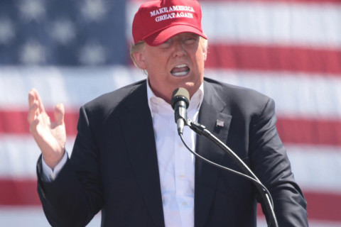 Donald J Trump Rally