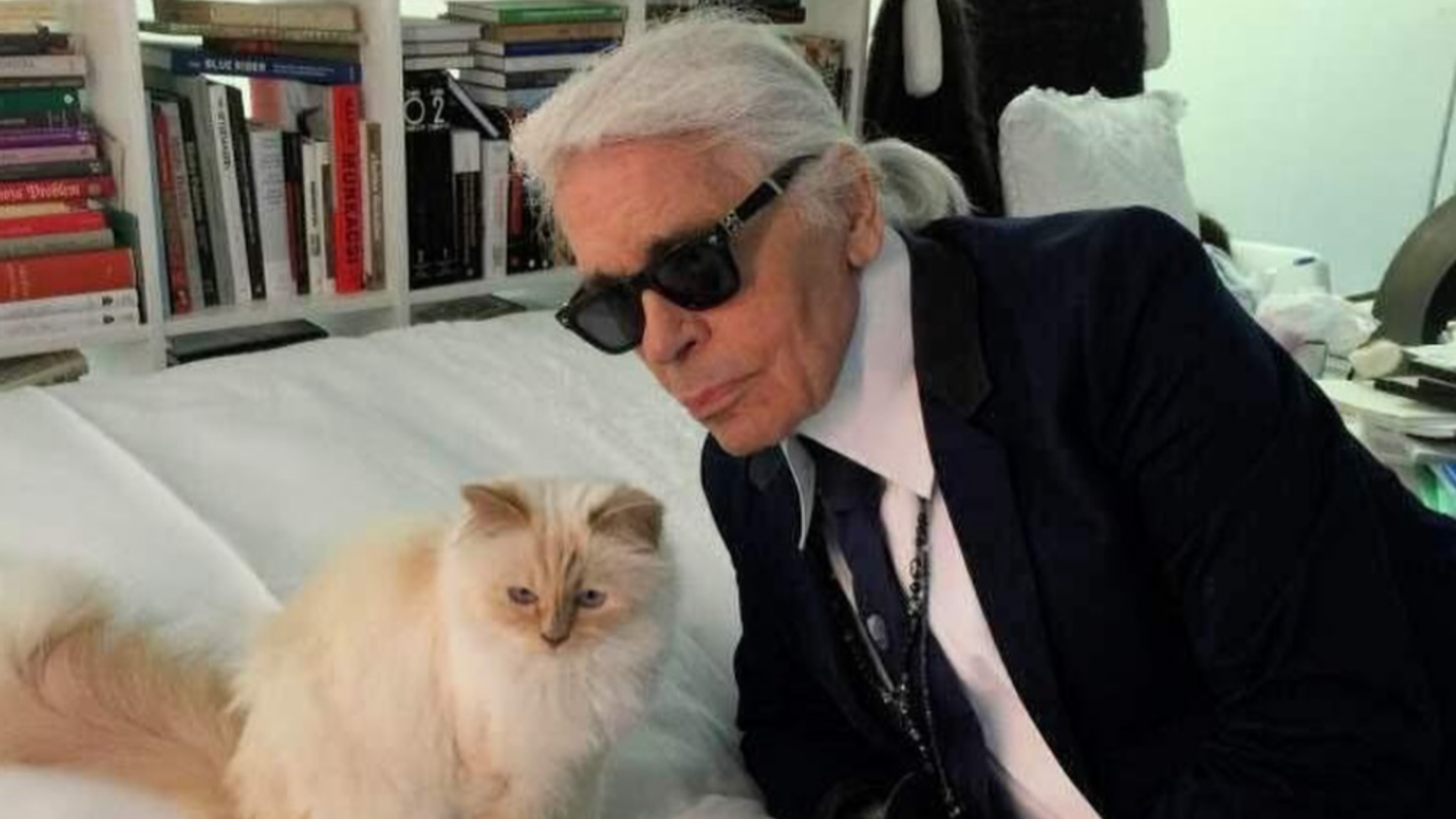 The World's Richest Cat Inherited $1.5M From Her Late Celebrity Owner — Now She's Broke. What Happened?