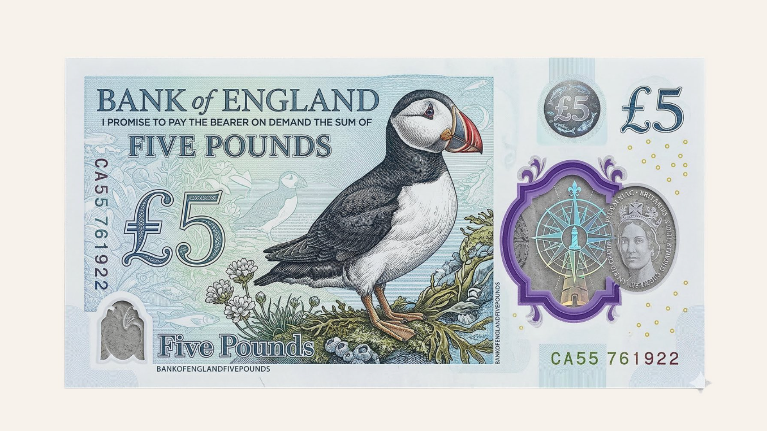 The Puffin