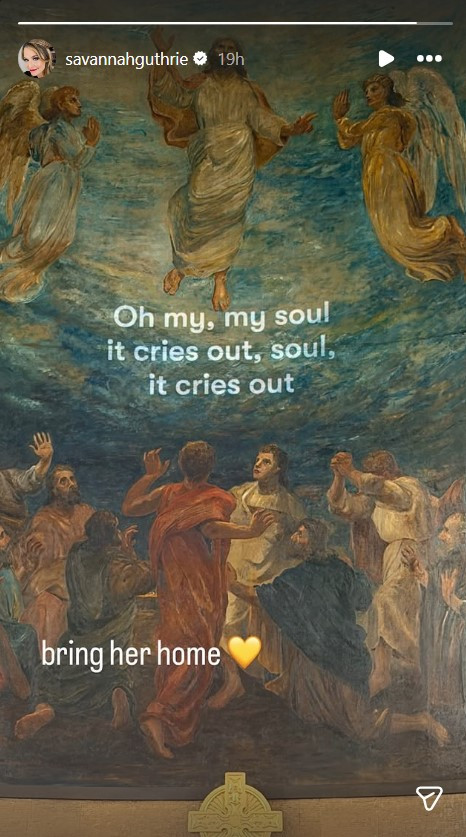 Savannah Guthrie has shared a post on her story.