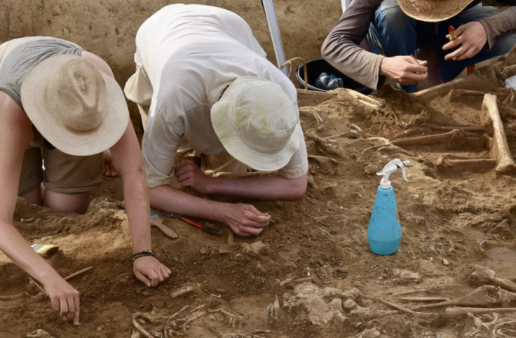 Students and archeaologists from Kiel University