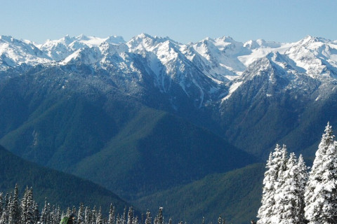 Olympic National Park