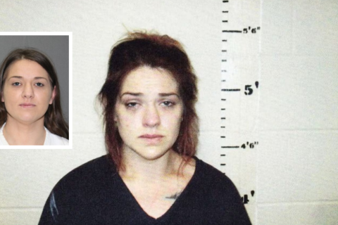 Taylor Parker, 'Material Instinct' Killer