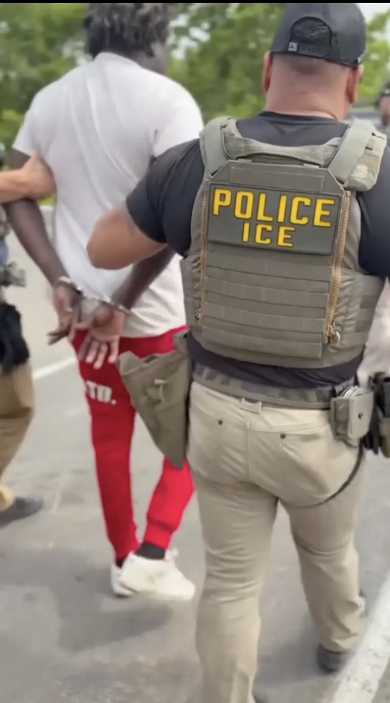 The WhiteHouse Immigration Tiktok