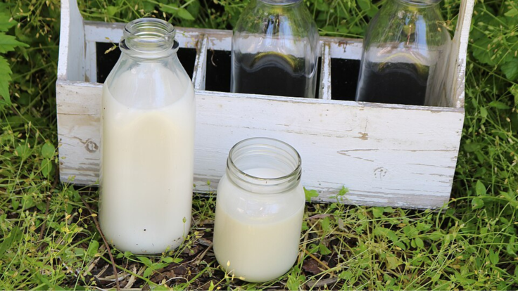 Raw Milk in containers and carrier