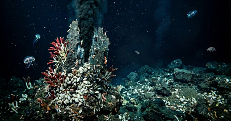 Deep Ocean Exploration