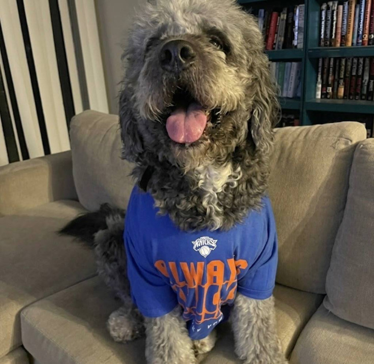 Jameson in his Knicks shirt before the LAPD shooting in