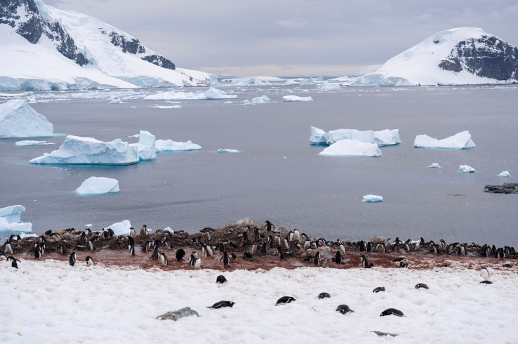 Antarctica