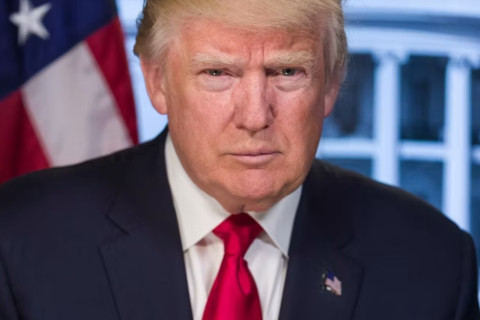 Portrait of President-elect Donald Trump