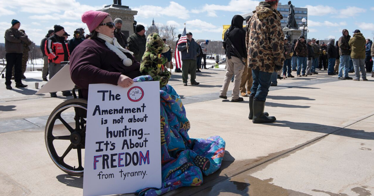 Second Amendment Gun Ban