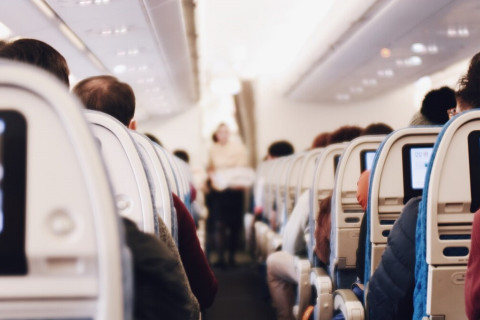 Passenger bites traveller in American Airlines
