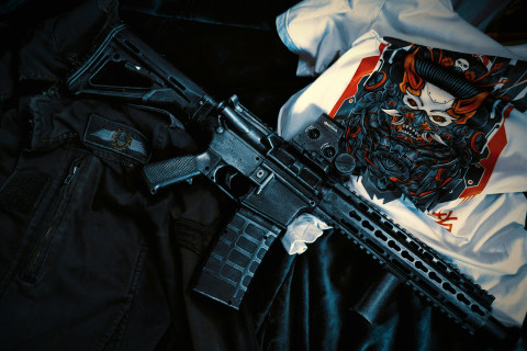 Gun