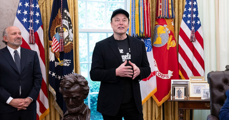 DOGE Adviser Elon Musk