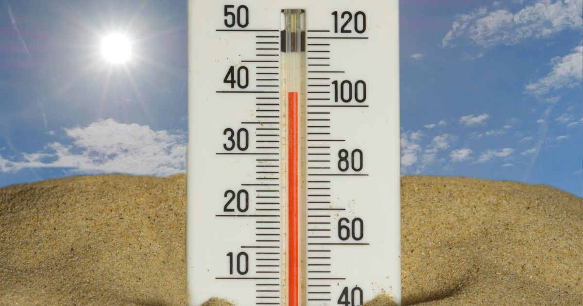 Britain Erupts as Over 1,000 Schools Close in the Heatwave and Leave Working Parents in Chaos: 'We Are Breeding a Nation of Melts'