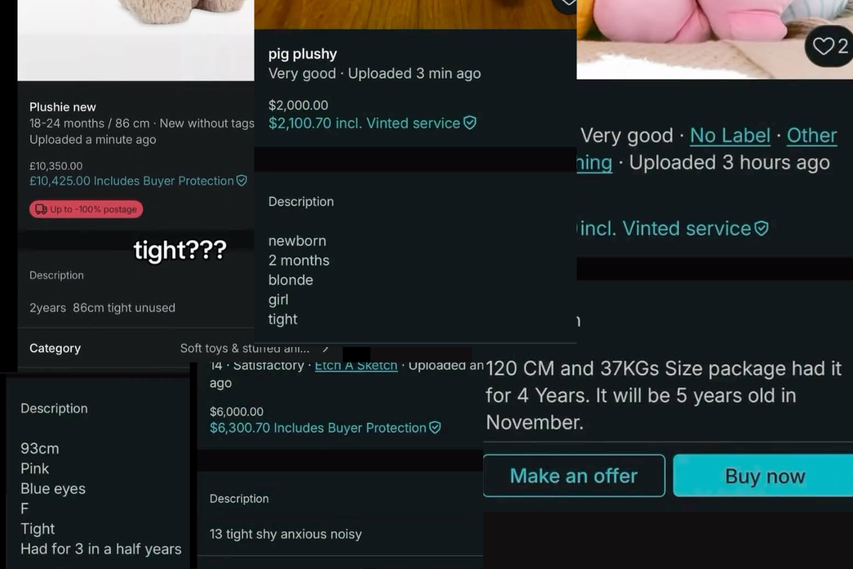 'Small and Healthy' and £20,000: How Vinted Toy Listings Have Sparked Child Trafficking Fears