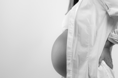 Republicans want to limit visa for travelling pregnant women