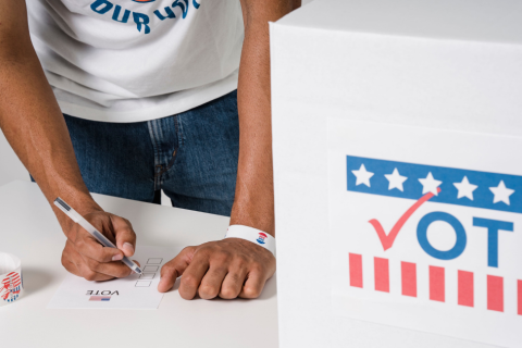 Voter