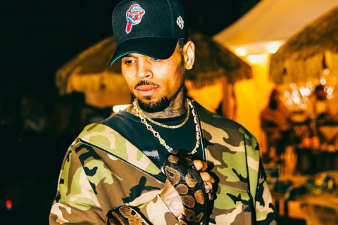 Chris Brown Minneapolis performance