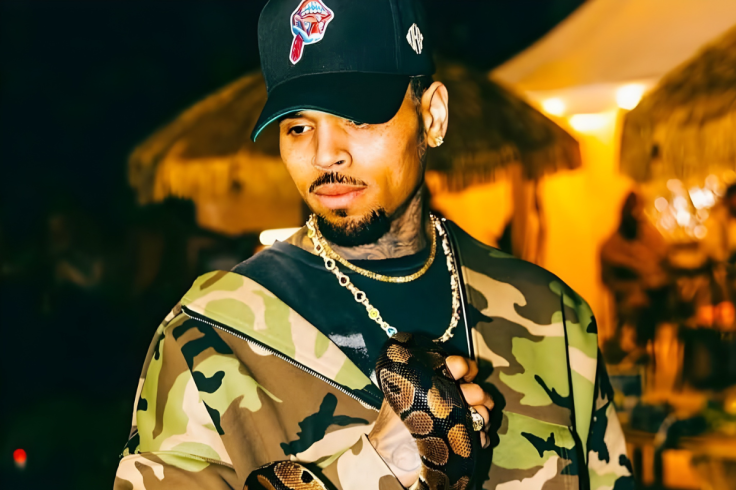 Chris Brown Live Performance Sparks Online Debate
