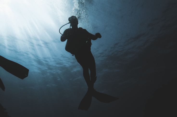 Diving Instructor