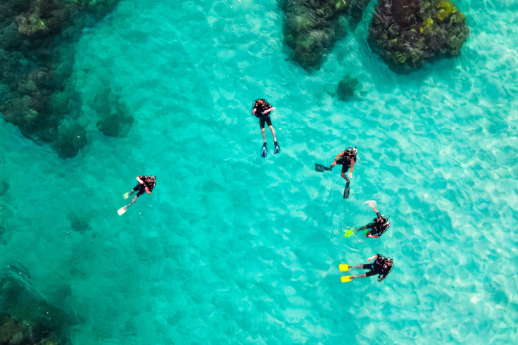 Diving Instructors Safety Precautions