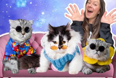 Cats on a Couch by Amanda McGonigle