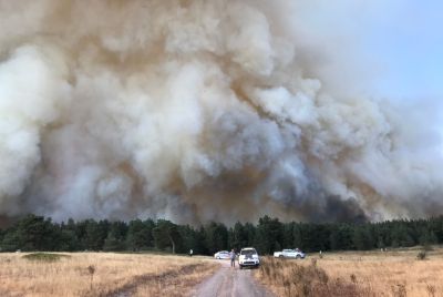 emergency cars near a wildfire