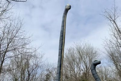 Thailand Unearths Giant New Dinosaur Species