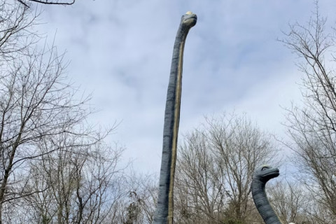 Thailand Unearths Giant New Dinosaur Species