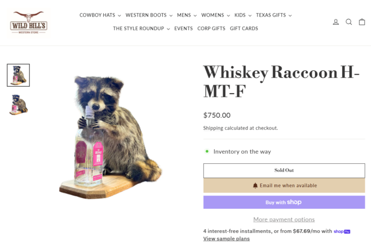 Erling Haaland's Whiskey Raccoon
