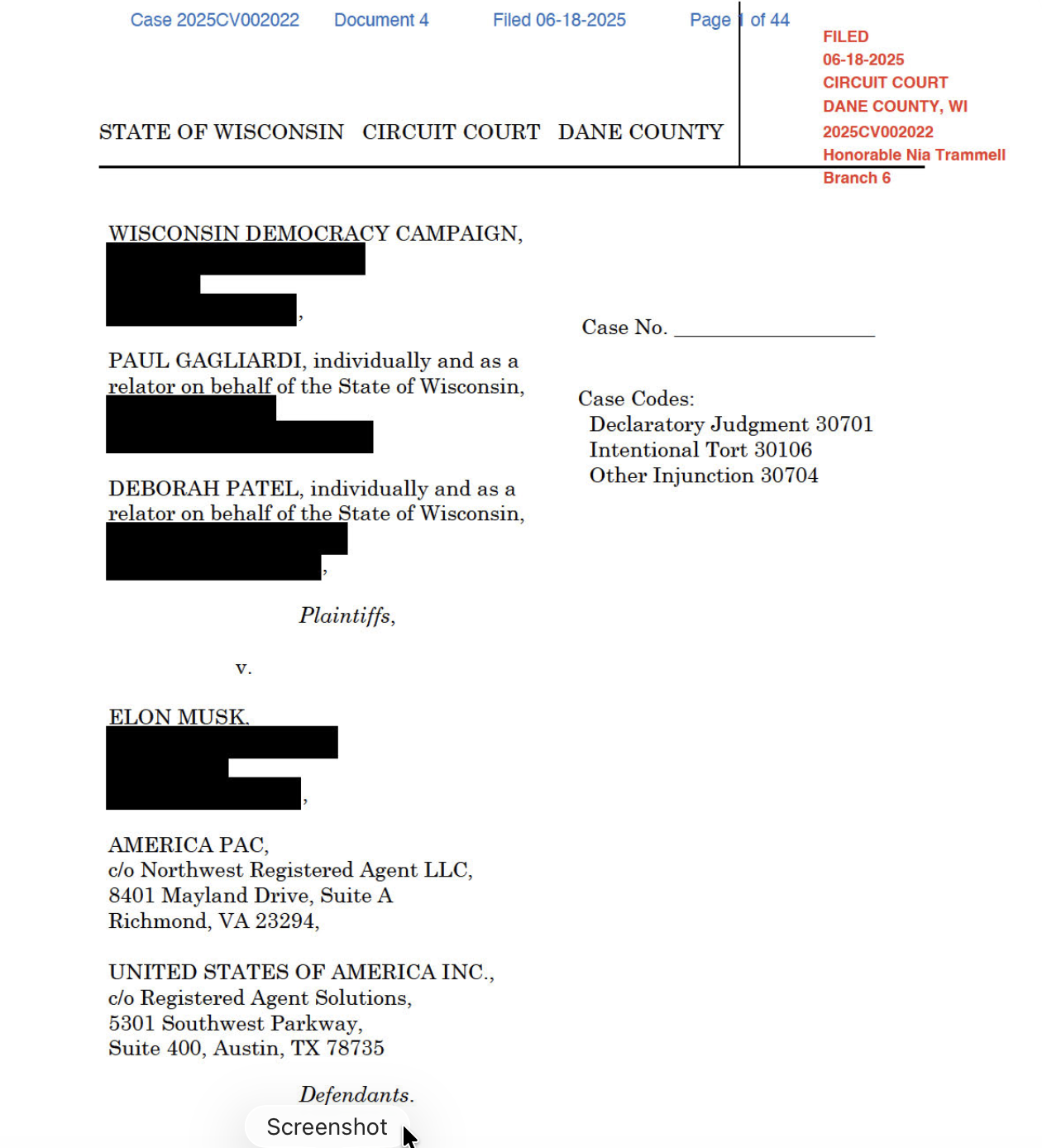 Elon Musk election bribery
