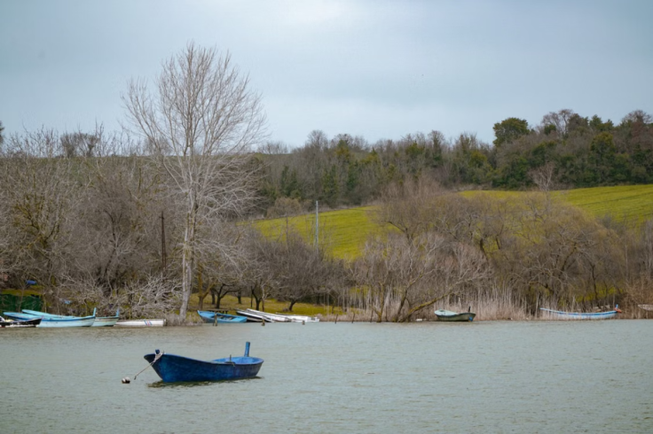 Viral Lake Rescue