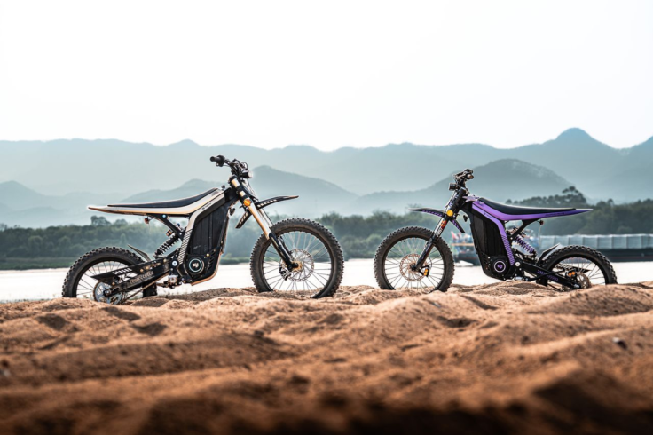 Electric bikes