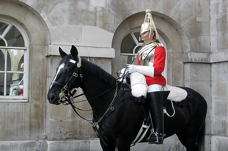 King's Guard Horse Overheats in London Heatwave
