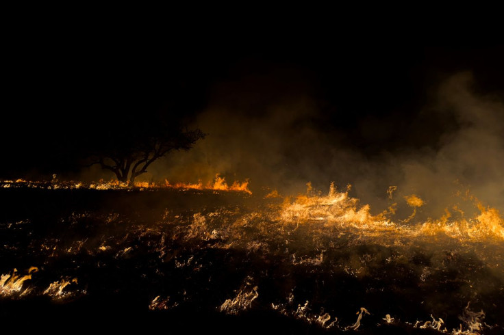 Ontario wildfires continue