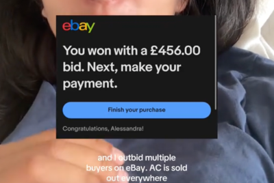 Screenshot of eBay bid for a broken AC unit