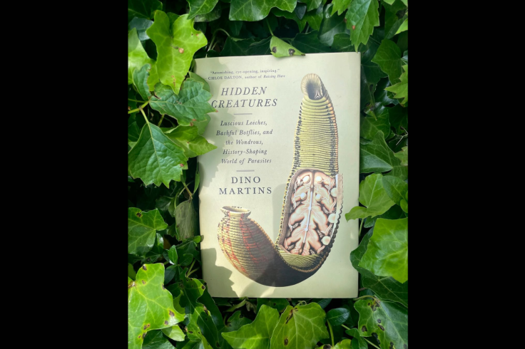 Hidden Creatures: A Different Kind of Nature Book