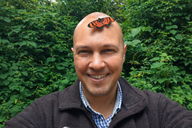 Dino J. Martins