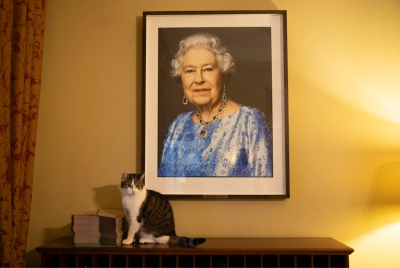 Larry the Cat - UK Prime Minister