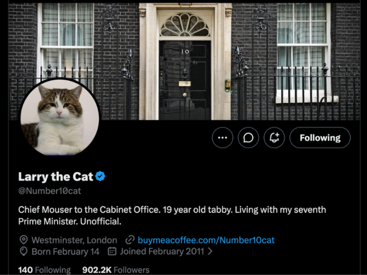 Larry the Cat - UK PM - Twitter
