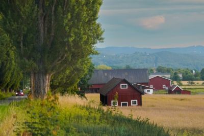 rural cabins