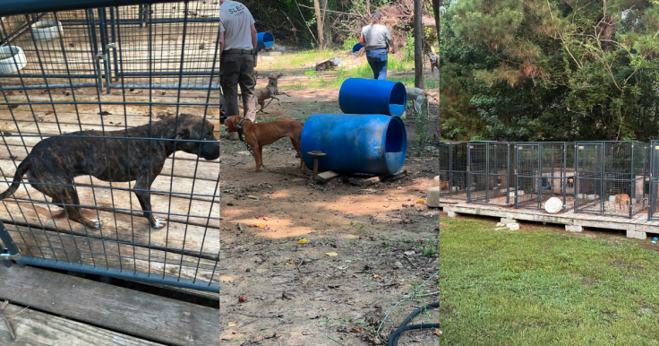 Horry Country Police Department Animal Abuse Arrest