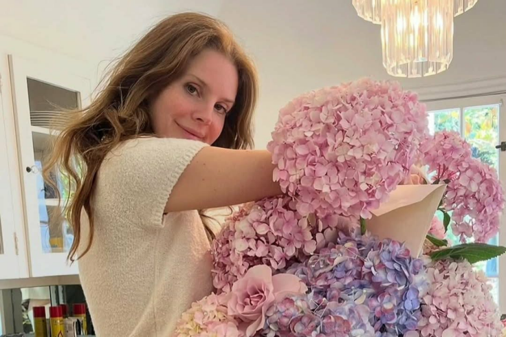 Lana Del Rey Instagram Comment Taylor Swift Wedding Timeline