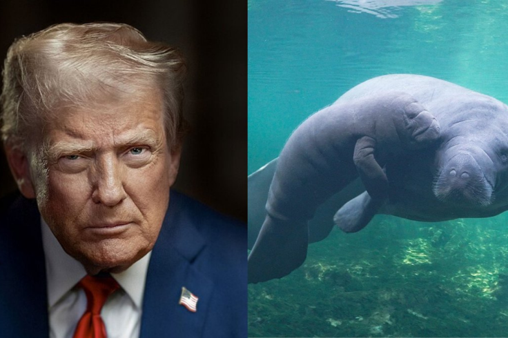 Trump Endangered Species
