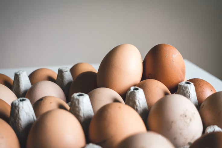 19 Million Eggs Recalled Amid Safety Scrutiny