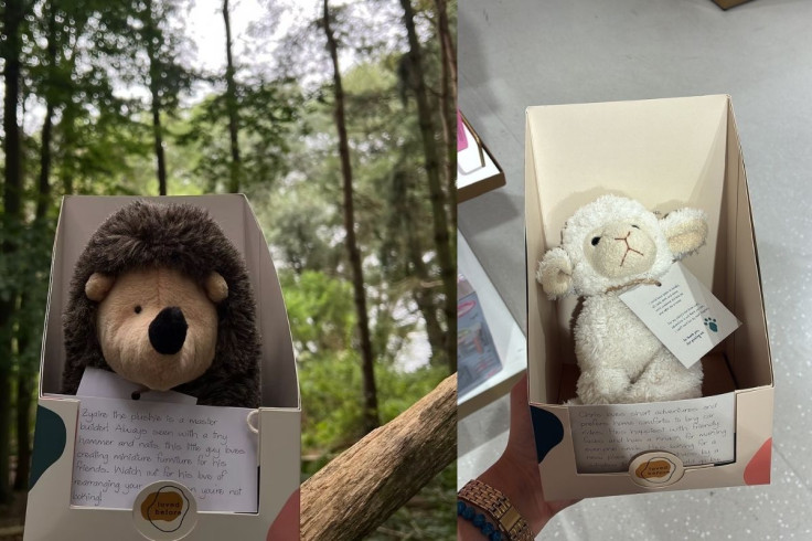 Loved Before Plush in packaging