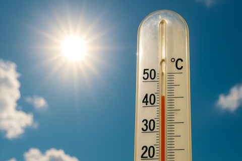 UK Heatwave