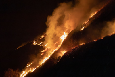 Forest wildfire