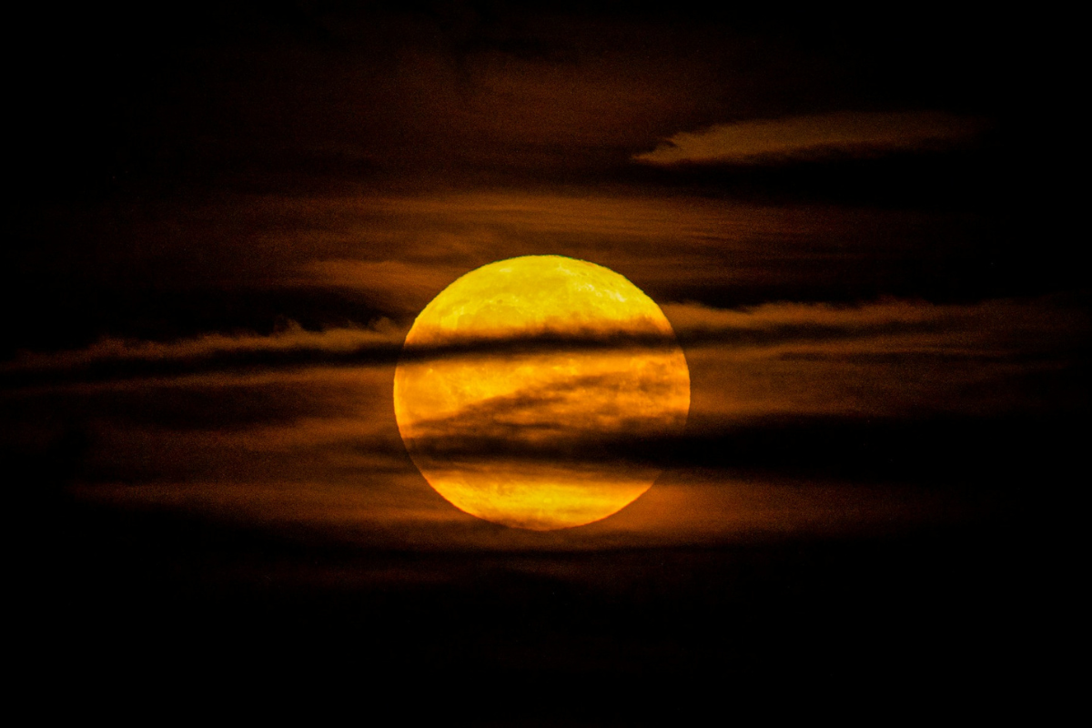 Buck Moon