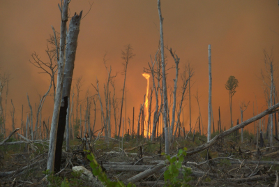 Suffolk Wildfire